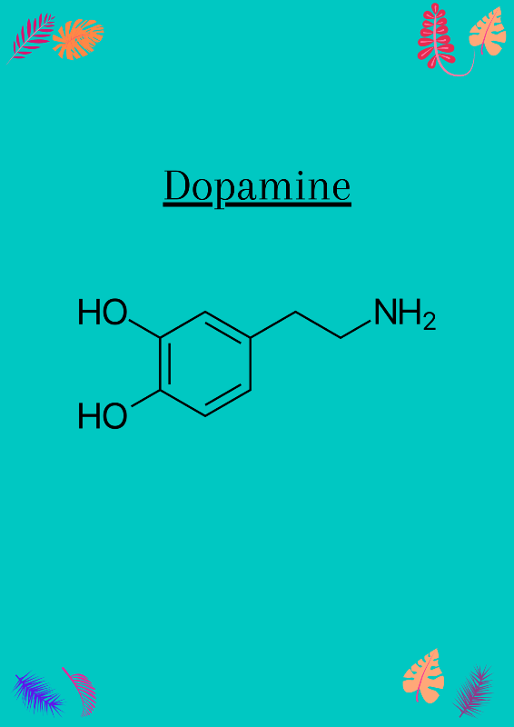 Molecular structure of dopamine